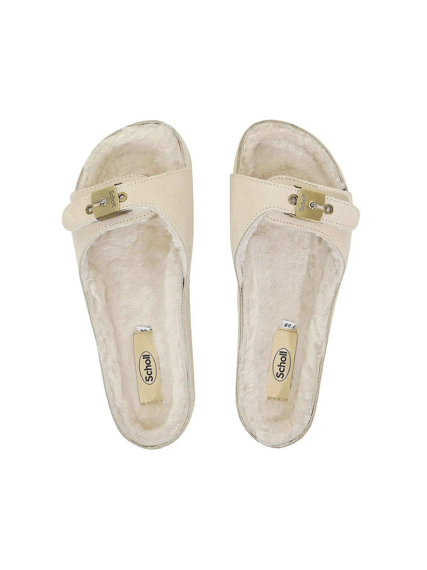 SCHOLL | Hausschuhe MEG | 